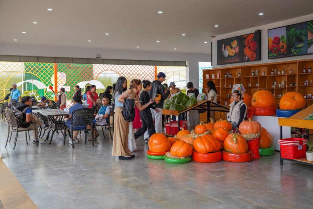 Vườn bí khổng lồ ở Đà Lạt