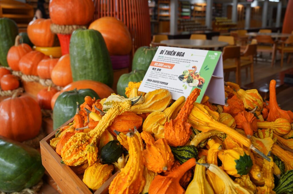 Vườn bí khổng lồ ở Đà Lạt