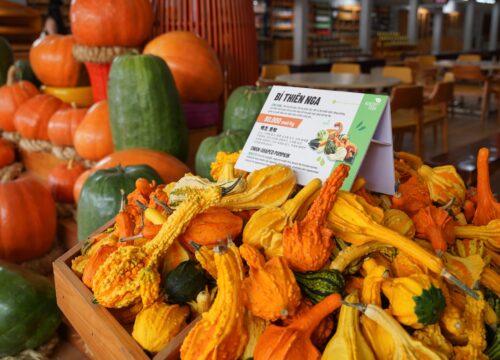 Trải nghiệm thú vị khi tham quan vườn bí khổng lồ ở Đà Lạt