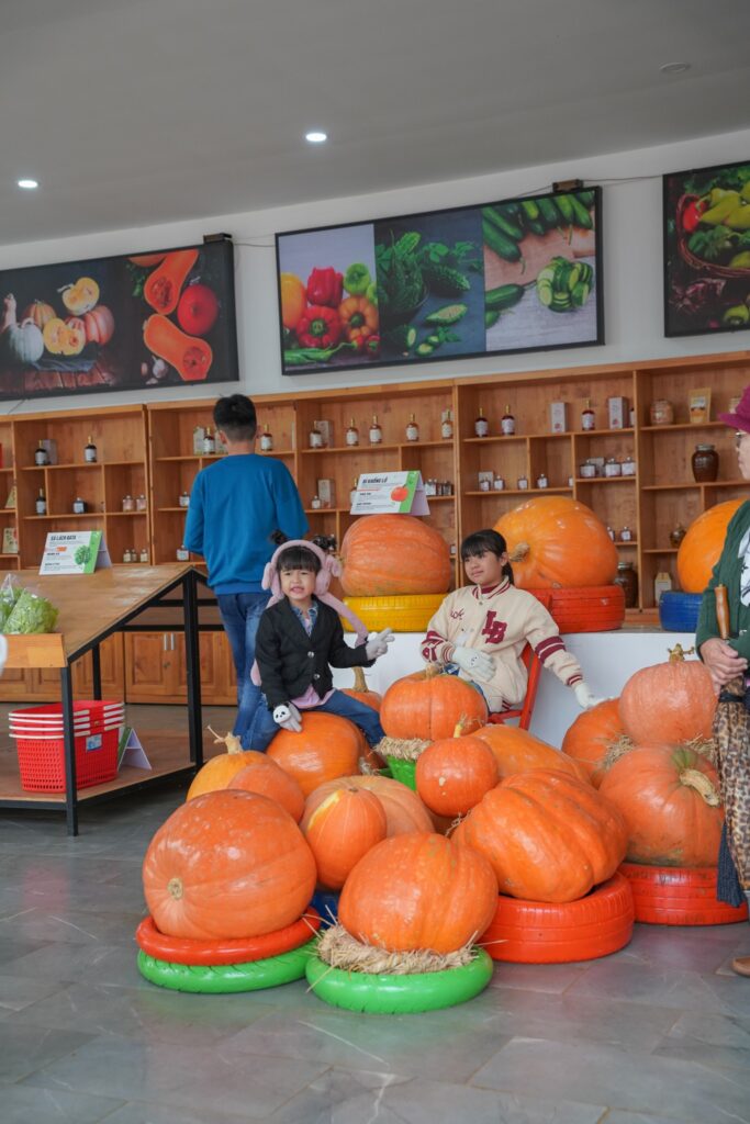 Vườn bí khổng lồ ở Đà Lạt