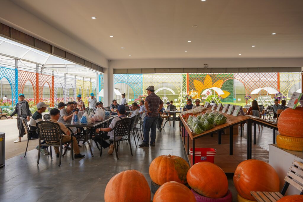 Vườn bí khổng lồ ở Đà Lạt