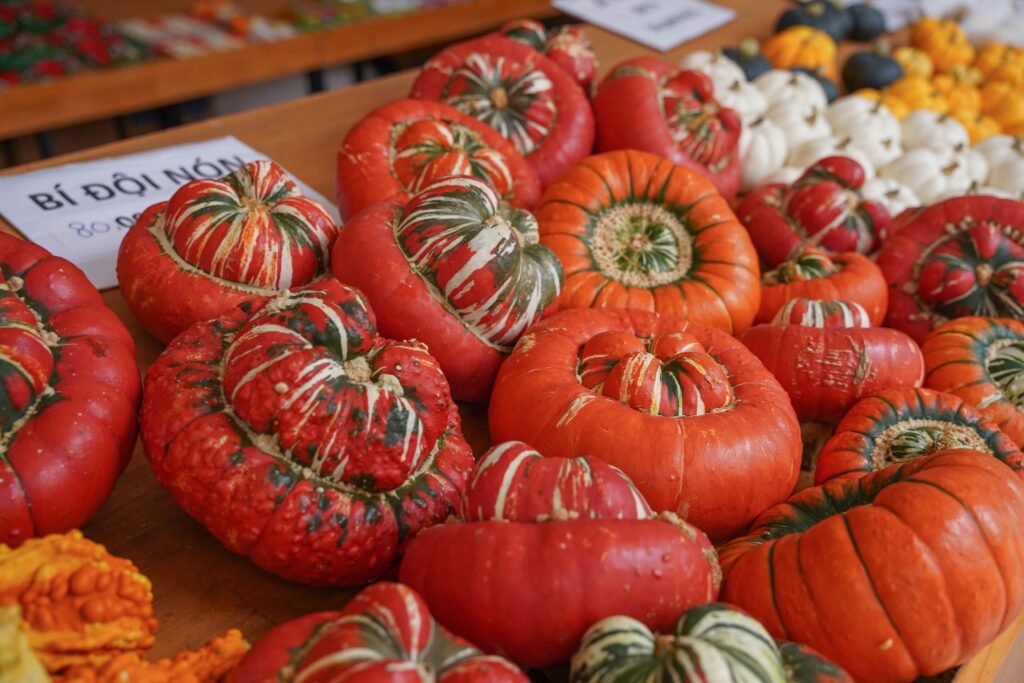 Vườn bí khổng lồ ở Đà Lạt