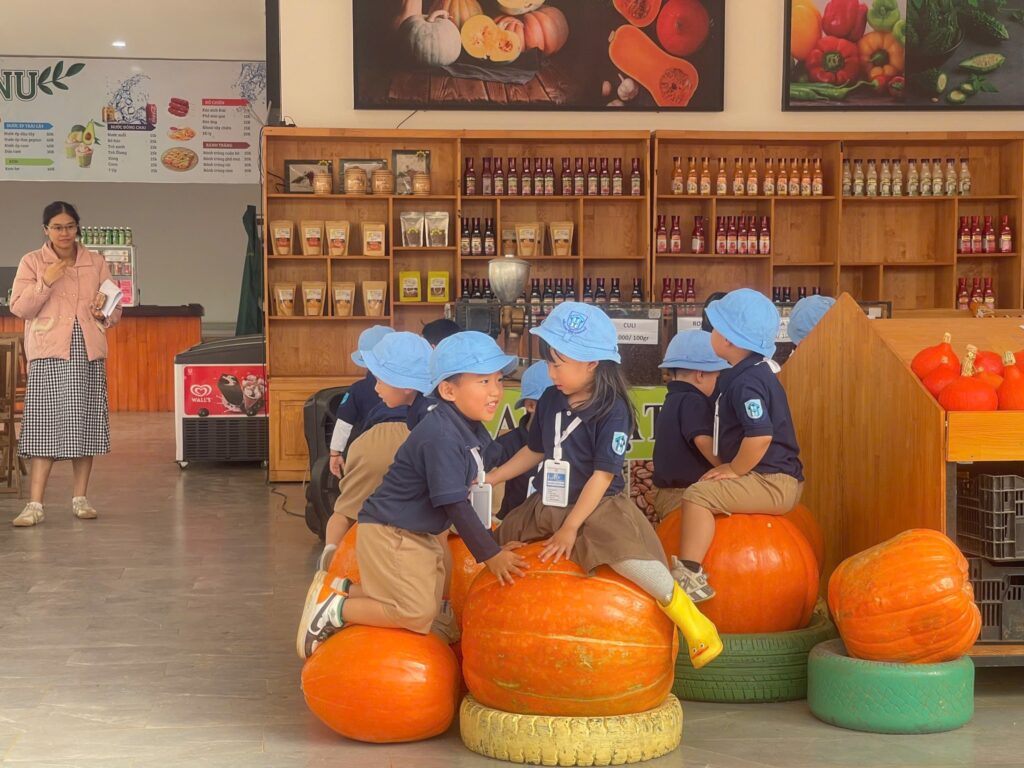 Vườn bí khổng lồ ở Đà Lạt