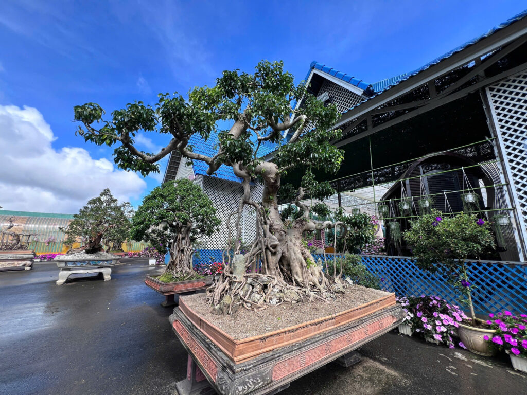 Ưu đãi 20% vé tham quan Vạn Hoa Đà Lạt cho doanh nghiệp