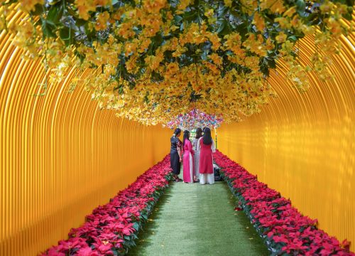 Ưu đãi cuối năm: Chính sách vé tại KDL Vạn Hoa Đà Lạt