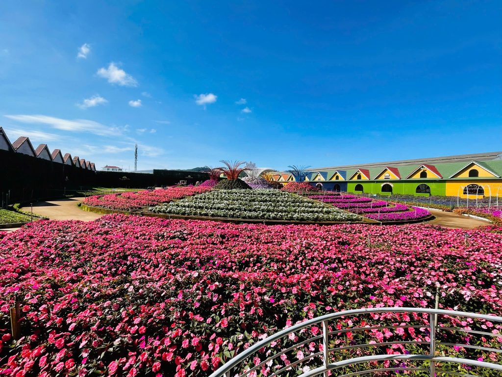 Du lịch Đà Lạt tết dương lịch là thời điểm đẹp nhất để “F5” lại tinh thần