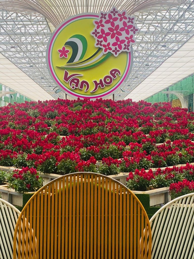 Du lịch Đà Lạt tết dương lịch là thời điểm đẹp nhất để “F5” lại tinh thần