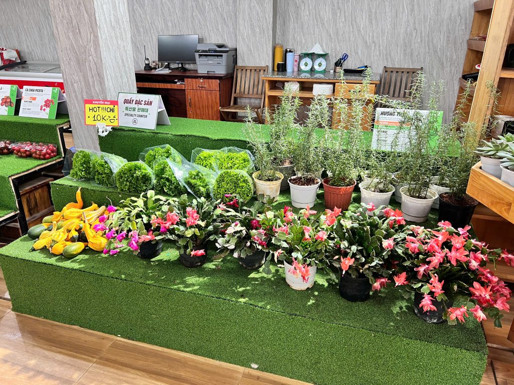 Du lịch Đà Lạt mùa hè cùng KDL Vạn Hoa Đà Lạt