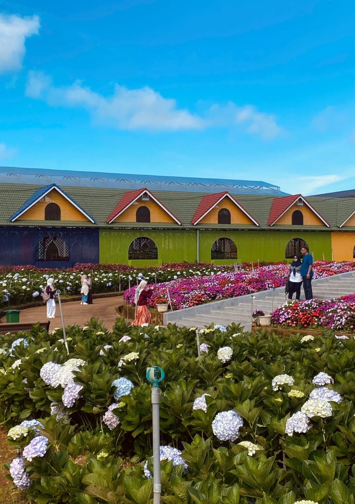 Du lịch Đà Lạt mùa xuân, chạm vào sự dễ chịu nhất trong năm