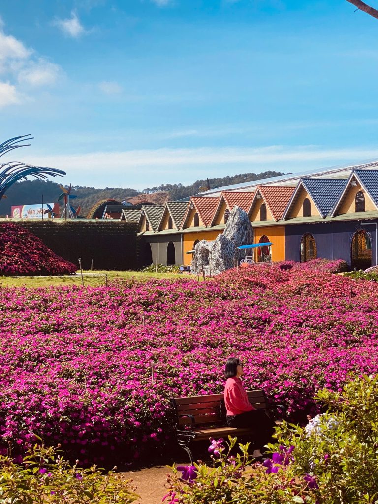 Hành trình đi tìm truyền thuyết các loài hoa của Đà Lạt.