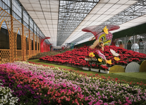 Khám phá truyền thuyết các loài hoa của Đà Lạt tại KDL Vạn Hoa