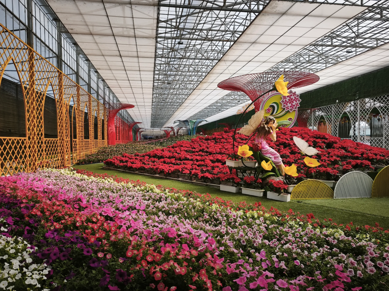 Hành trình đi tìm truyền thuyết các loài hoa của Đà Lạt.