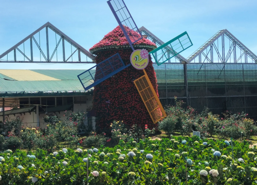 Trải nghiệm một châu Âu thu nhỏ tại Vạn Hoa Đà Lạt