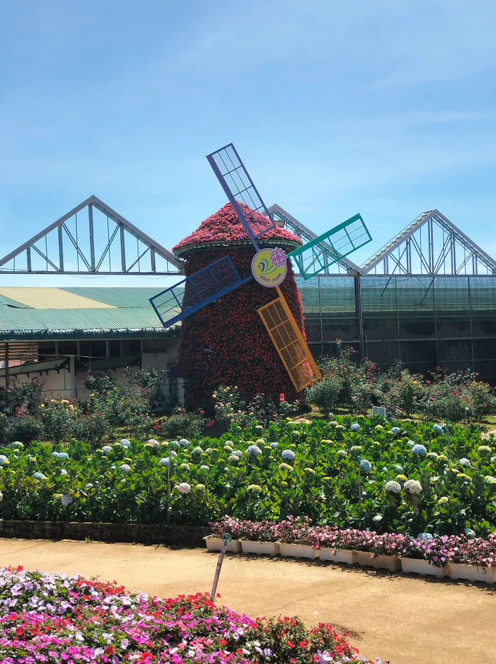 Hành trình đi tìm truyền thuyết các loài hoa của Đà Lạt.