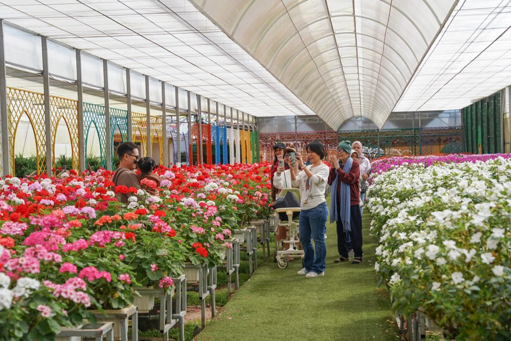 Kỹ thuật trồng hoa trong nhà kính, bước chuyển mình của nông nghiệp hiện đại