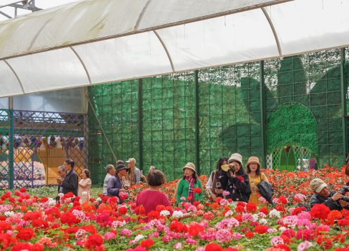 Nghệ thuật nhiếp ảnh tại Đà Lạt dưới ống kính của các nhiếp ảnh gia