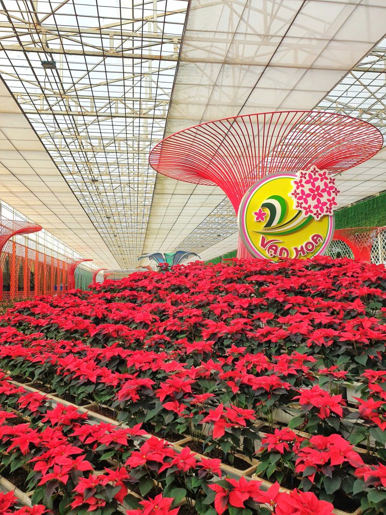 Lễ hội hoa Đà Lạt qua các năm