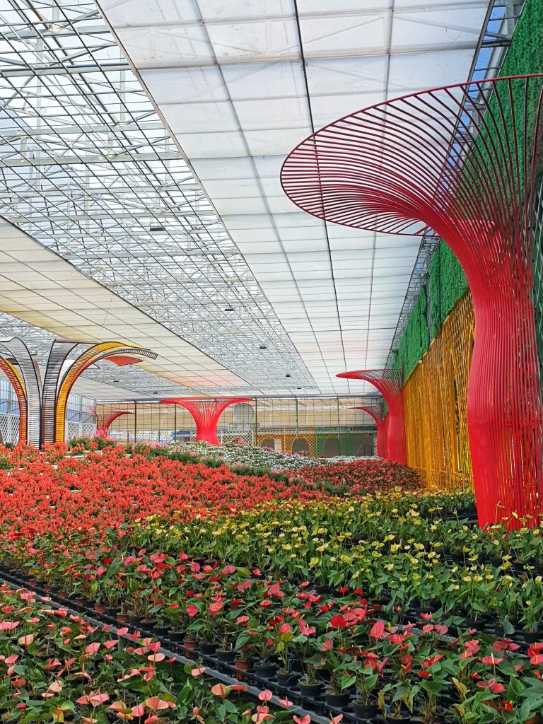 Lễ hội hoa Đà Lạt qua các năm