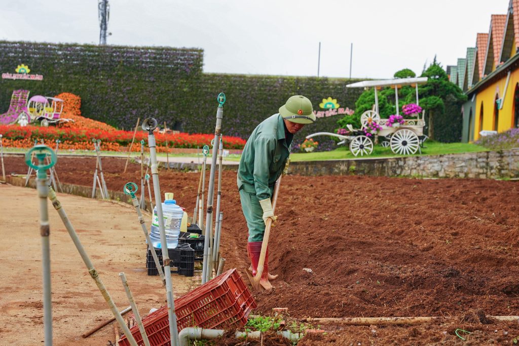 Trải nghiệm nông nghiệp công nghệ cao tại vườn rau nổi tiếng nhất Đà Lạt