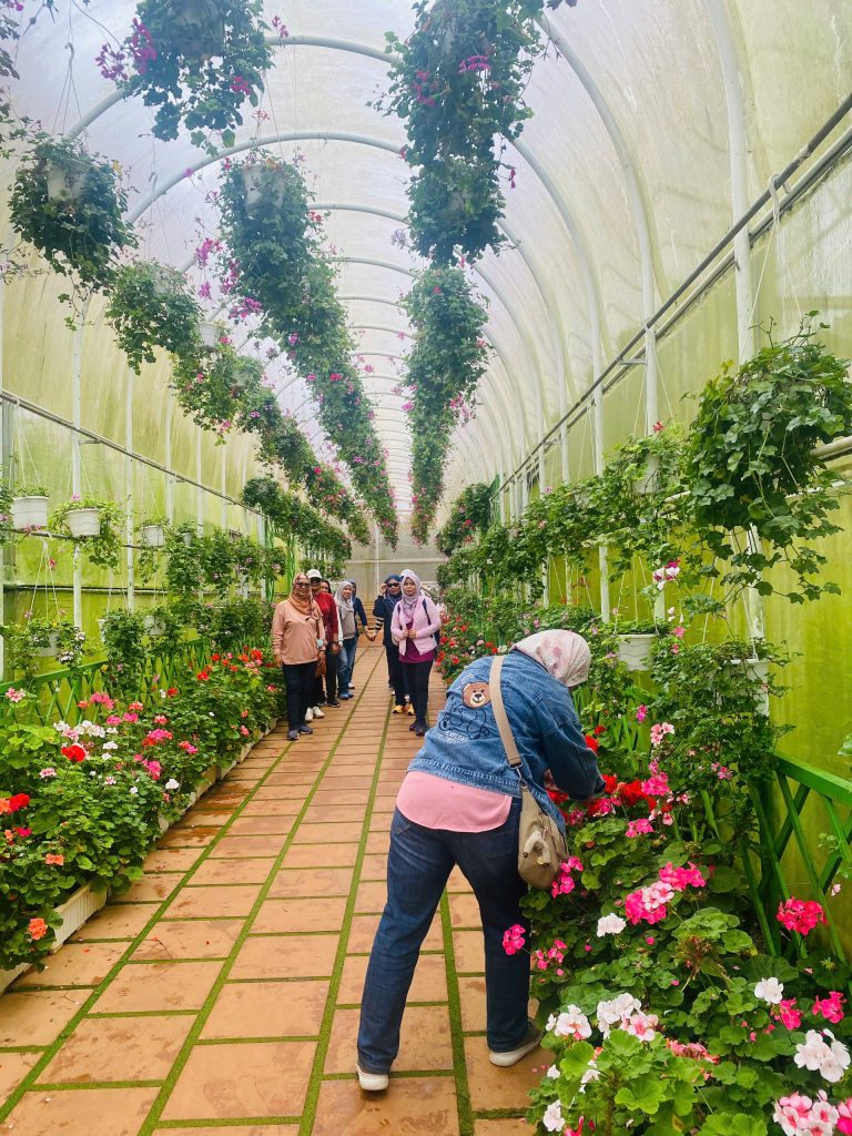 địa điểm tránh nóng lý tưởng ở Đà Lạt với không gian xanh mát và khí hậu dễ chịu