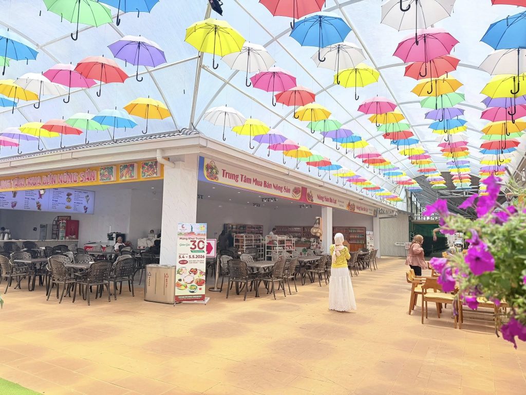 Du Lịch Đà Lạt Trọn Gói Giúp Tiết Kiệm Thời Gian Và Chi Phí