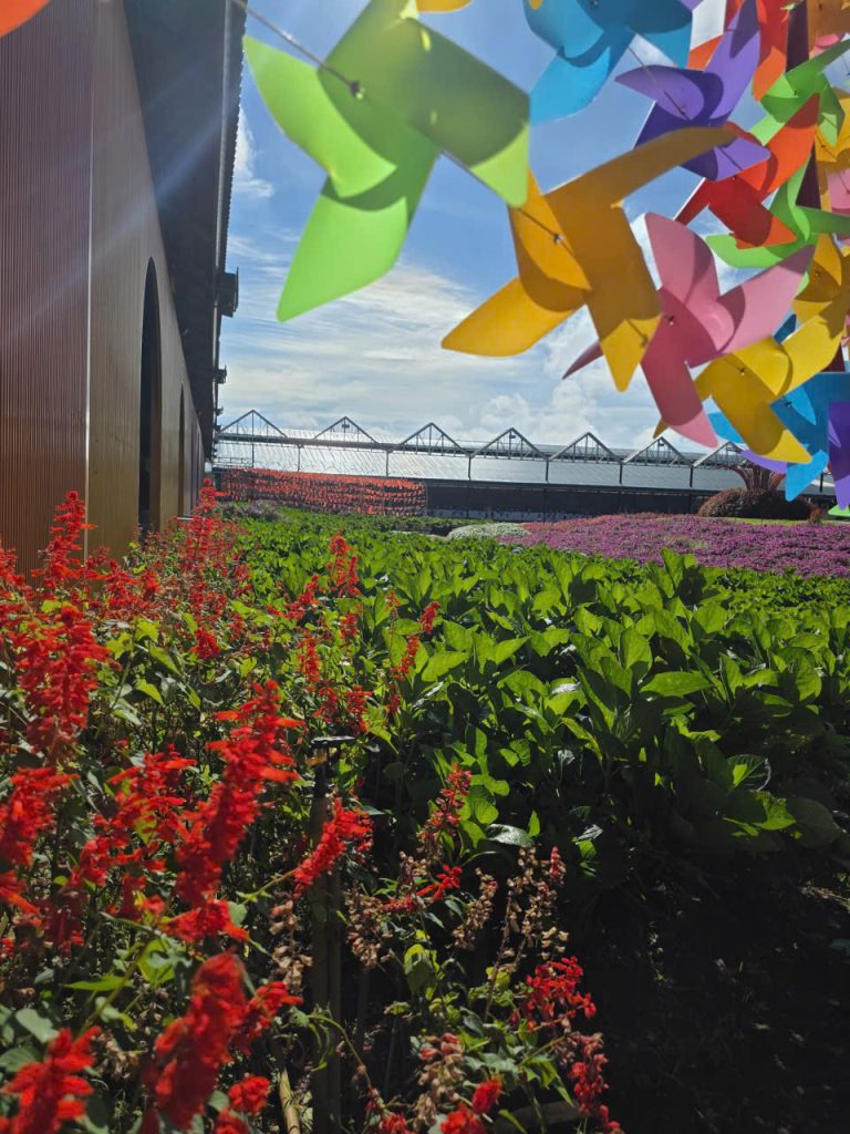 Nơi vừa tham quan vừa ăn uống ở Đà Lạt cho đoàn khách và du khách