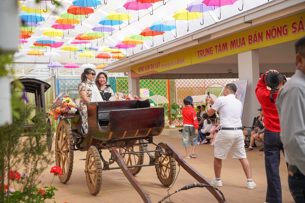 Gợi ý lịch trình tour Đà Lạt 1 ngày tối ưu