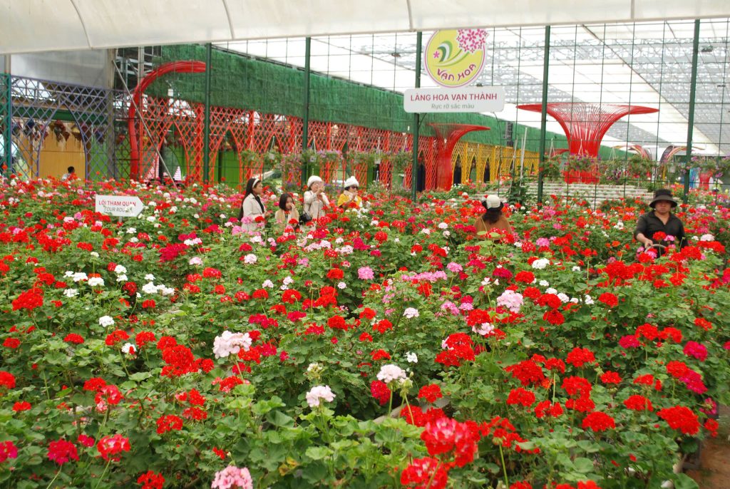 Khu du lịch compound an toàn tại Đà Lạt