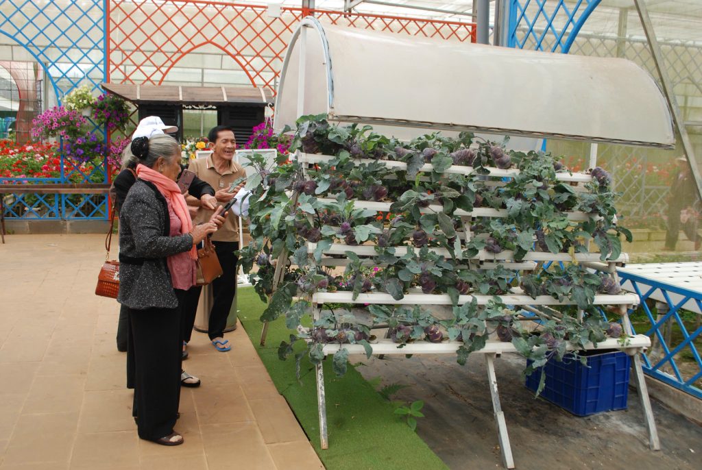 Khu du lịch compound an toàn tại Đà Lạt