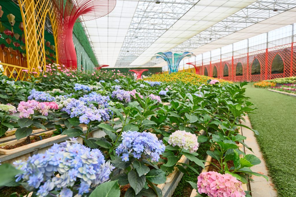 Tổng chi phí đi Đà Lạt 2 ngày 1 đêm