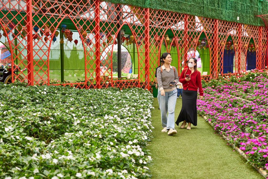 Top nhưng điểm đến an toàn tại Đà Lạt được du khách yêu thích