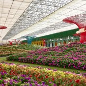Top nhưng điểm đến an toàn tại Đà Lạt được du khách yêu thích