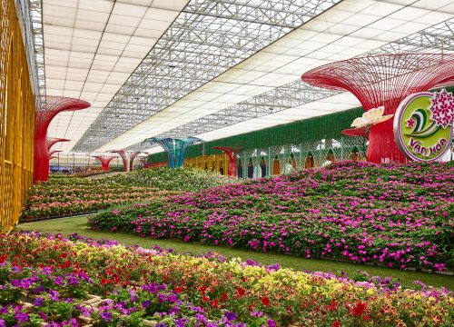 Gợi ý khu du lịch phù hợp với người khuyết tật tại Đà Lạt