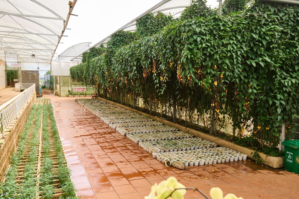 Top nhưng điểm đến an toàn tại Đà Lạt được du khách yêu thích