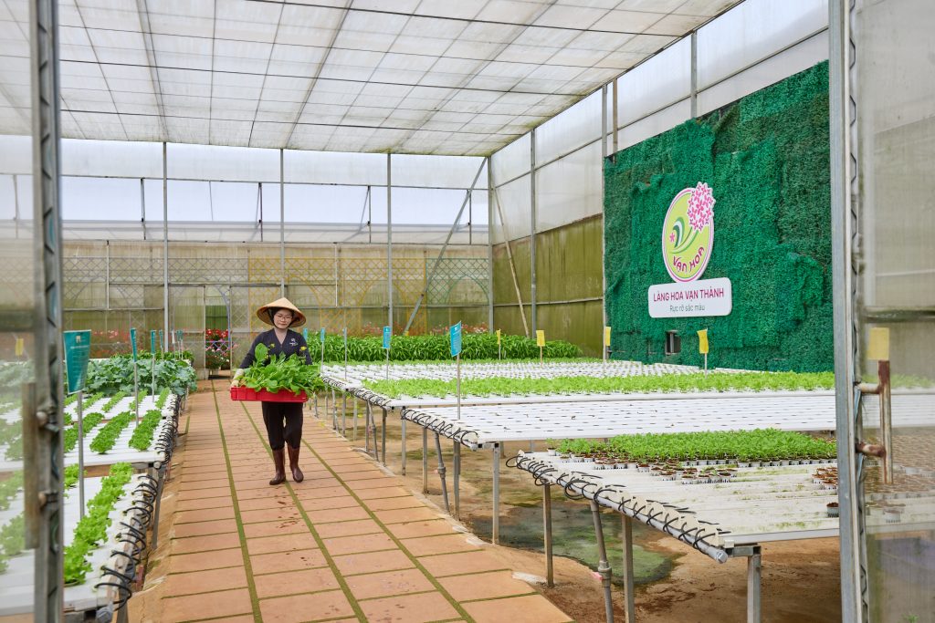 Gợi ý khu du lịch sức chứa lớn tại Đà Lạt cho tour đoàn và sự kiện