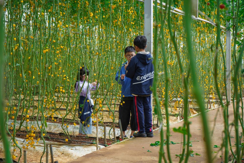 Khu vui chơi khép kín an toàn cho trẻ em ở Đà Lạt