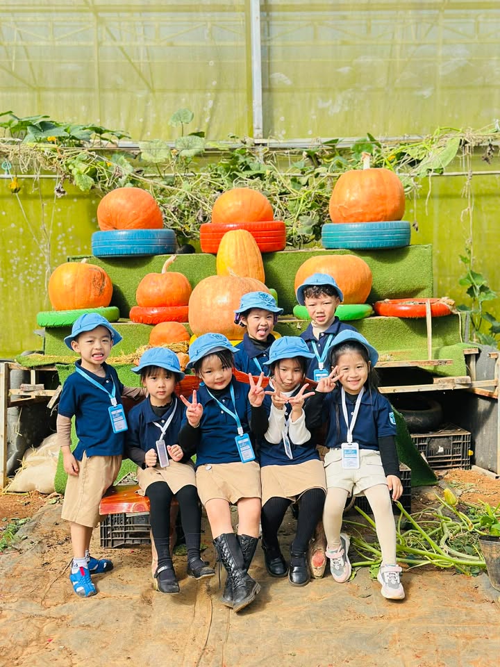Khu vui chơi khép kín an toàn cho trẻ em ở Đà Lạt