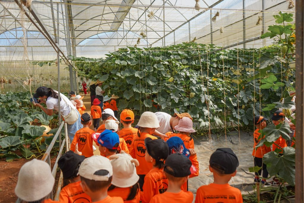 Khu vui chơi khép kín an toàn cho trẻ em ở Đà Lạt