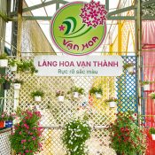Trải nghiệm ngay những góc check-in mới nhất tại Vạn Hoa Đà Lạt
