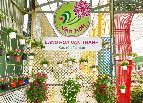Những góc check-in mới nhất tại Vạn Hoa Đà Lạt khiến du khách không thể bỏ lỡ