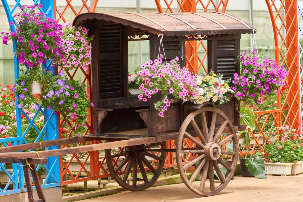 Trải nghiệm ngay những góc check-in mới nhất tại Vạn Hoa Đà Lạt